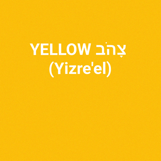 YELLOW צָהֹב (Yizre'el)